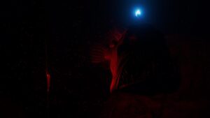 beyond-blue--screenshot-5