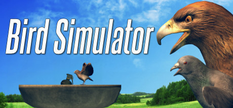 bird-simulator--landscape
