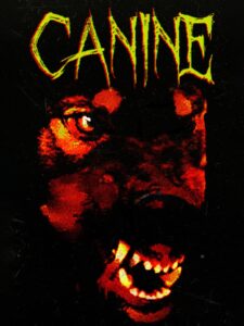 canine--portrait