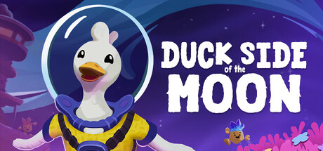 duck-side-of-the-moon--landscape