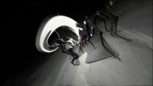 enigmas-edge--screenshot-14