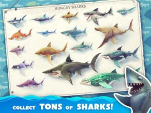 hungry-shark-world--screenshot-8