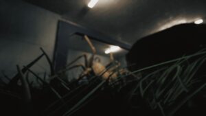 huntsman--screenshot-6