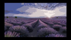 lavender-field--screenshot-0