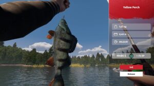 mlf-pro-catch--screenshot-0
