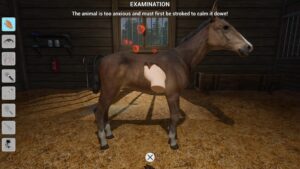 my-life-farm-vet--screenshot-7