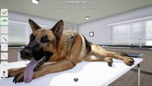 my-life-pet-vet--screenshot-2
