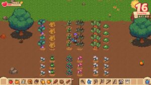 orange-season--screenshot-2