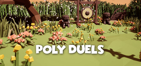 poly-duels--landscape