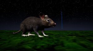 rat-memory--screenshot-1