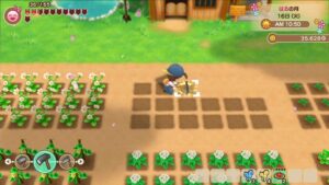 story-of-seasons-friends-of-mineral-town--screenshot-11
