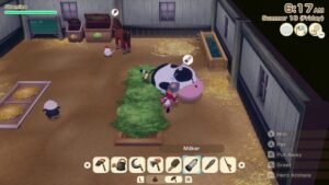 story-of-seasons-grand-bazaar--screenshot-1