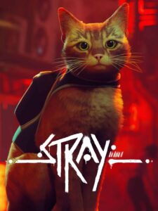 stray--portrait