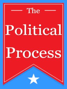 the-political-process--portrait