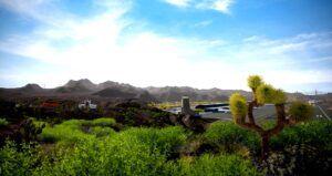 tourist-bus-simulator--screenshot-0