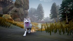 warrior-cats-clans-of-the-forest--screenshot-6
